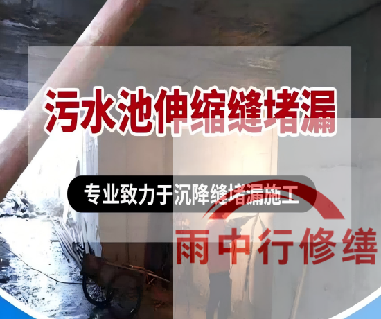 大同某污水处理厂钢筋混凝土池堵漏案例